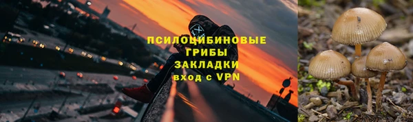 PSILOCYBIN Медногорск