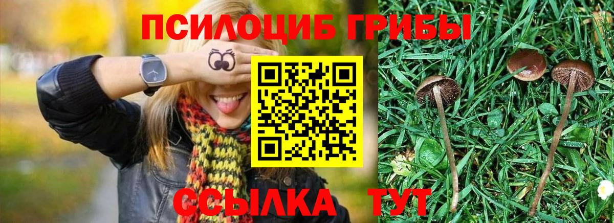 Канск  Галлюциногенные грибы мухоморы  Вход с VPN 