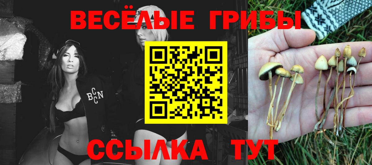 APVP Канск